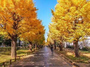 名古屋市美術館