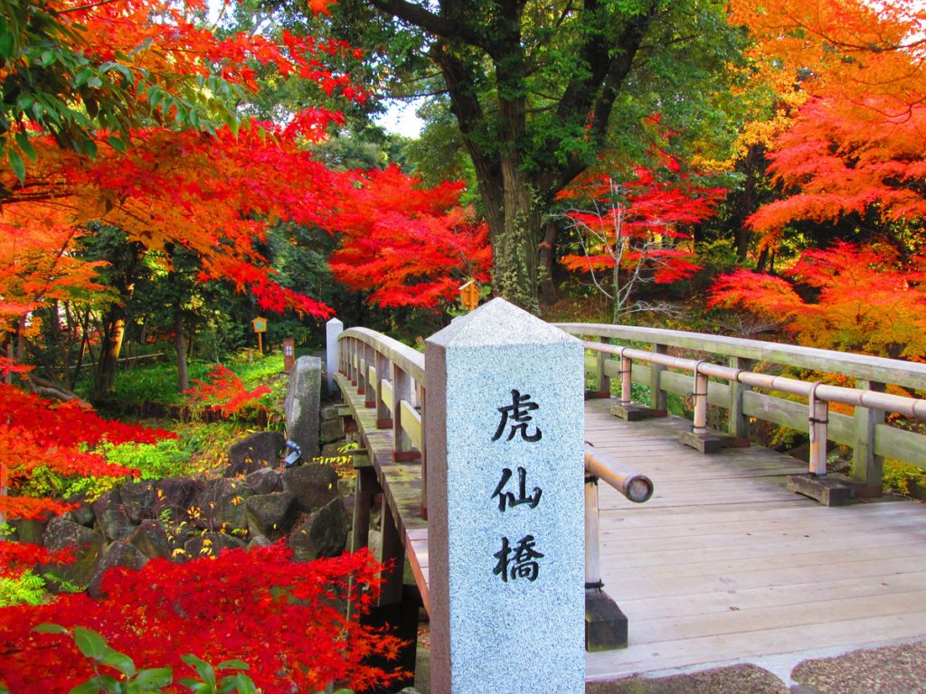 徳川園の紅葉祭