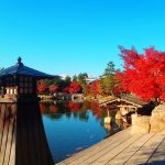 徳川園の紅葉祭