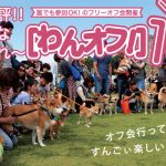 第14回 日本最大わんこのマルシェ「わんだらけ」。