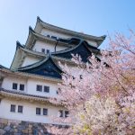 名古屋で楽しむお花見情報2020