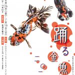 踊る金魚展2020 in 名古屋