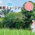 しだみ古墳群ミュージアム