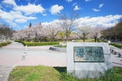 平和公園の桜