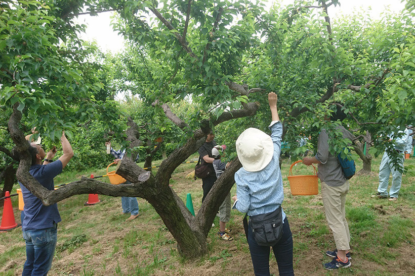 東谷山フルーツパーク