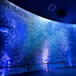 名古屋港水族館『サマーナイトアクアリウム』