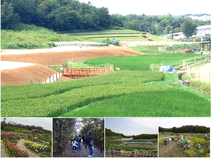 「あいちサトラボ」は県民協働により里山づくりをおこなうエリアであり、ここで活動する「あいちサトラボ里山開拓団」は、万博の理念を継承し、里山の循環型農業を通して農の営みや先人の知恵を実体験する機会を提供しています。  現在「あいちサトラボ」では四季折々の花が咲く花壇や、竹ぽっくり、輪回しなどの昔遊びを常時楽しむことができます。また、田・畑・森での活動を体験するプログラムも実