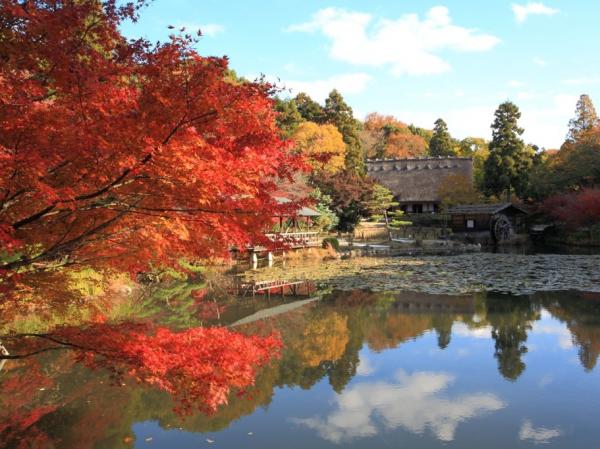 東山動植物園