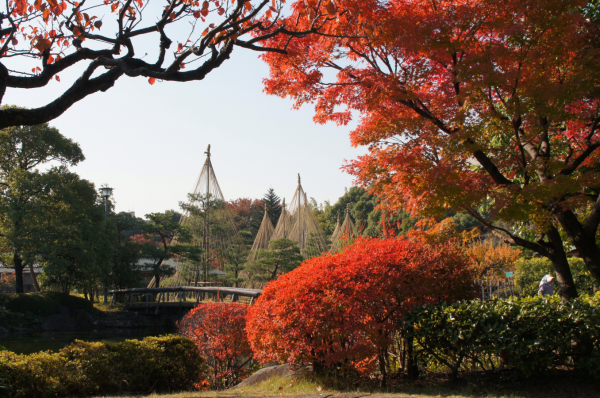 白鳥庭園