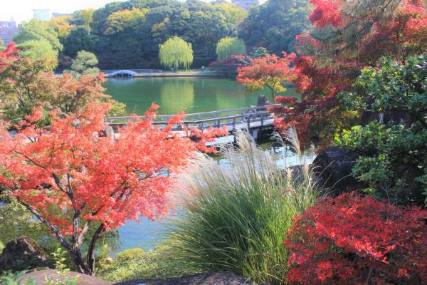 徳川園