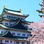 名古屋城「春まつり」名古屋を代表する観光スポットでお花見！
